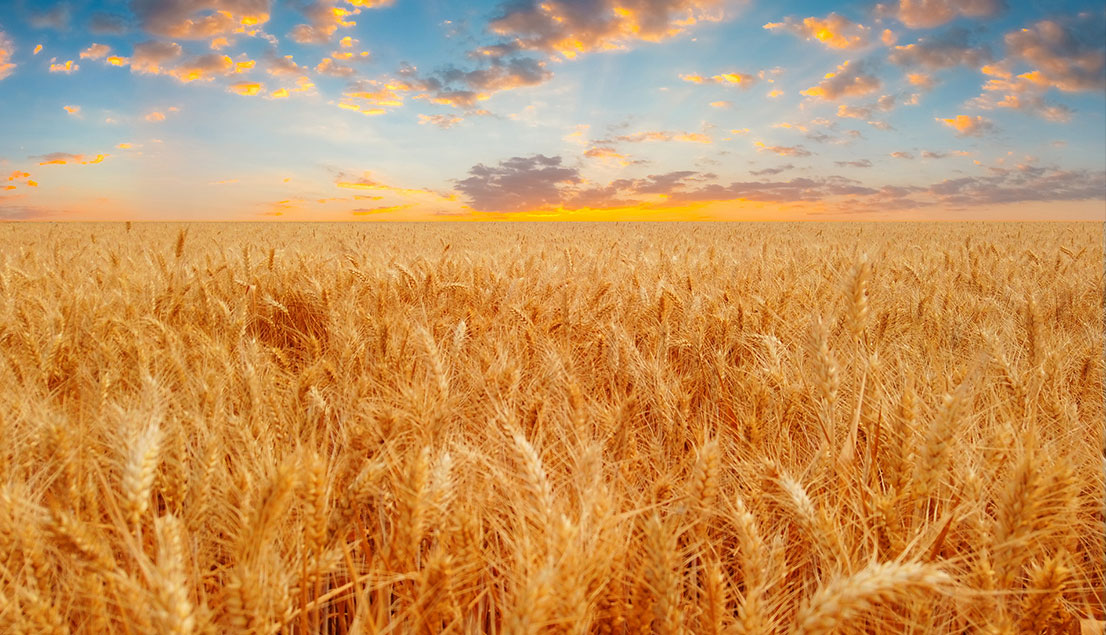 bevictorΰ�¹���-Τ�¹ٷ���վ