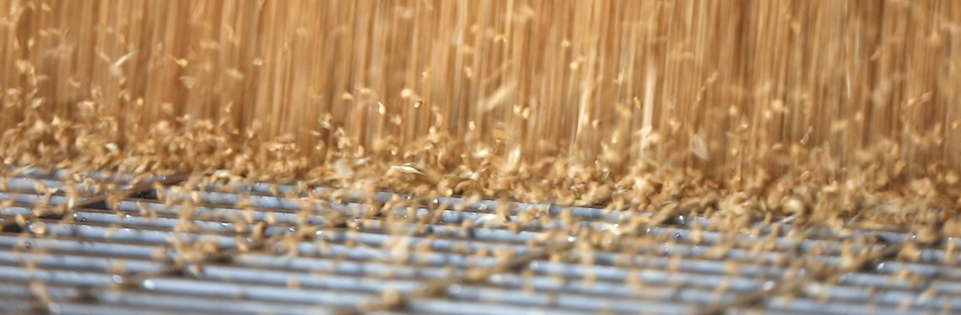 bevictorΰ�¹���-Τ�¹ٷ���վ